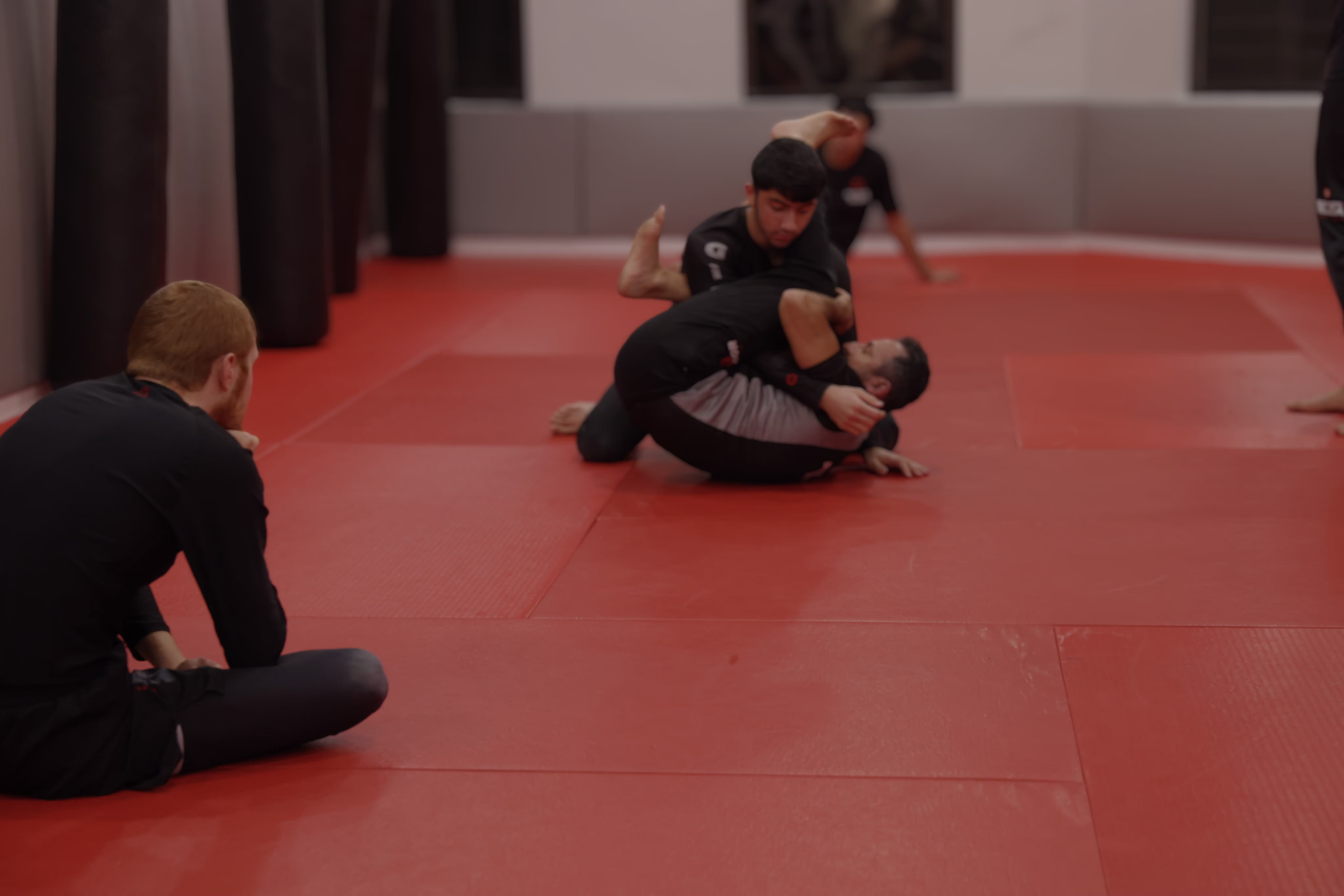 Adult jiu-jitsu training at BeGibor