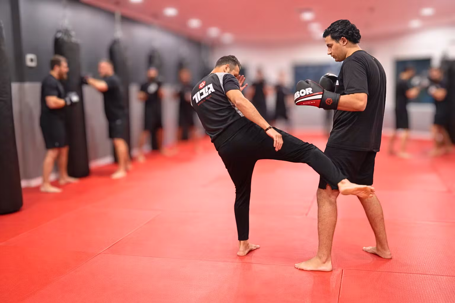 Kickboxing coaching at BeGibor